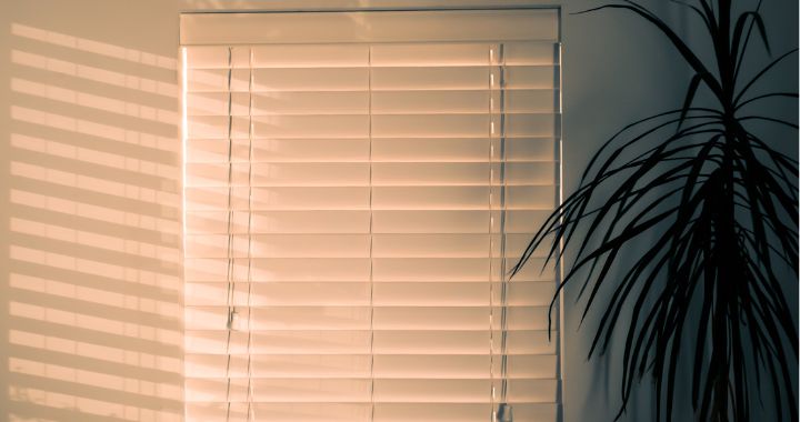 blinds in an office