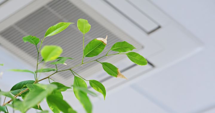 A ceiling air conditioning unit with a green plant in front of it