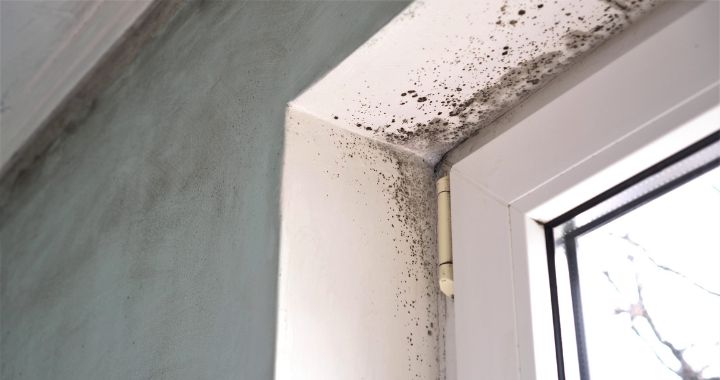 Mould around a window